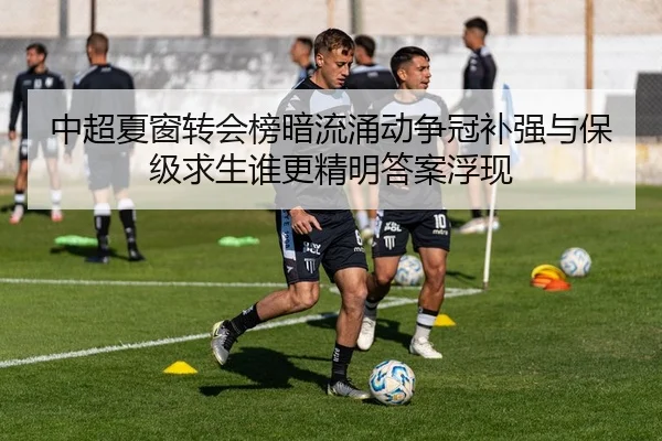 中超夏窗转会榜暗流涌动争冠补强与保级求生谁更精明答案浮现 - shuangseqiu